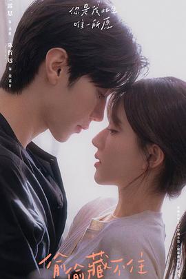 寻宝智多星 封面图